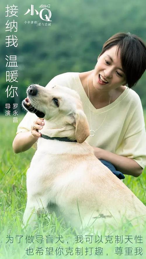 哈德斯菲尔德购买假证件